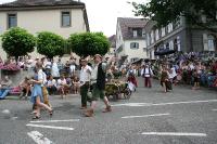 IMG_6430 (2) 